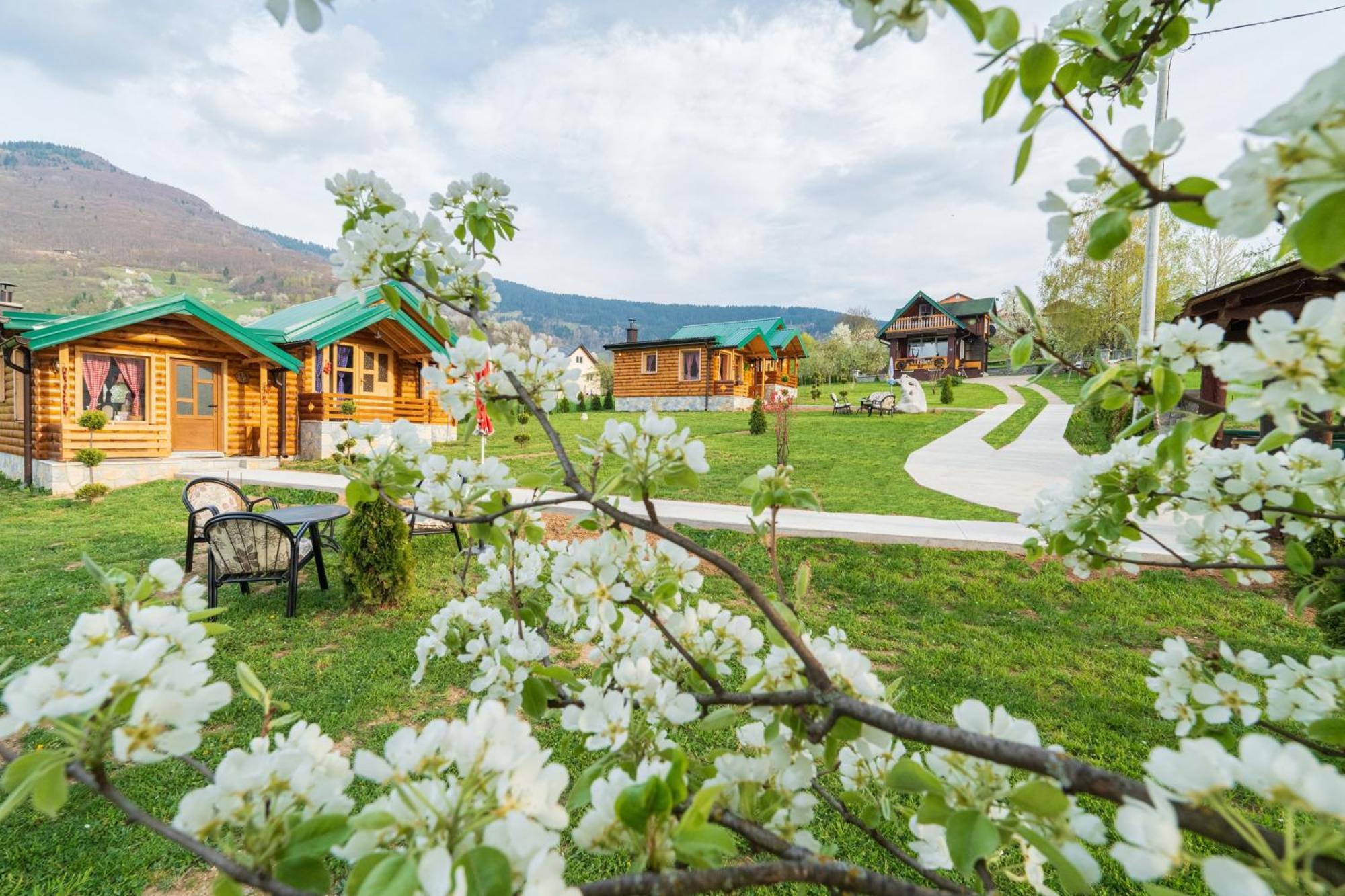 Salerno Camp Villa Plav Dış mekan fotoğraf